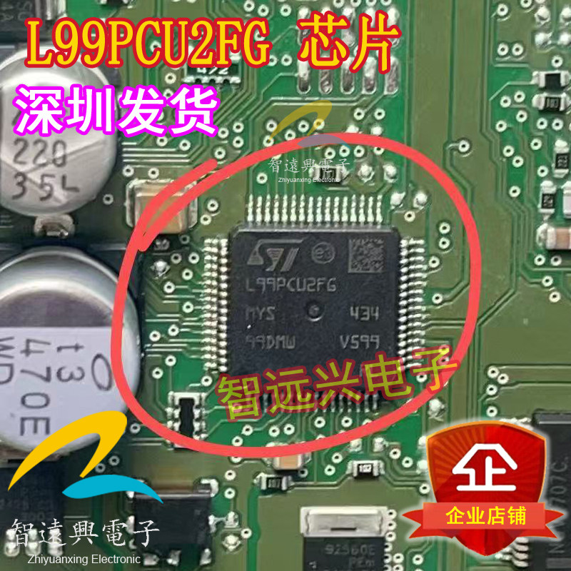 L99PCU2FG 适用于奥迪A6门锁电脑板驱动芯片 IC