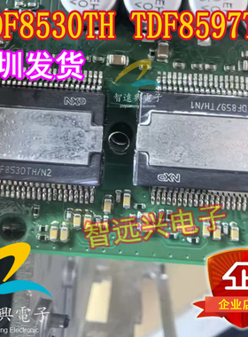 TDF8530TH TDF8597TH 适用奥迪q5 MIB J794主机音响音频功放芯片