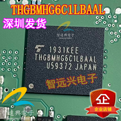 THGBMHG6C1LBAALEMCC闪存