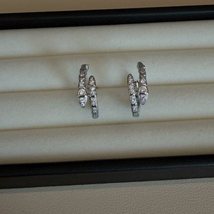 镶钻蛇形耳环耳圈许妍同款 赵露思高级感耳扣轻奢超闪欧美风耳饰