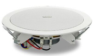 【辰星科技】Hivi/惠威 TD206吸顶音响 广播喇叭背景音乐扩声音箱
