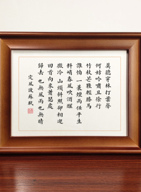 定风波苏轼诗词书法作品