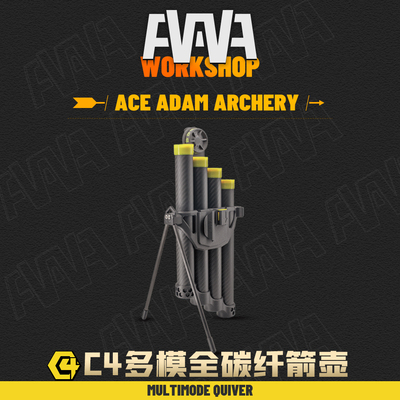 博宁精选AAAW C4碳纤维多模箭壶 15日内发货