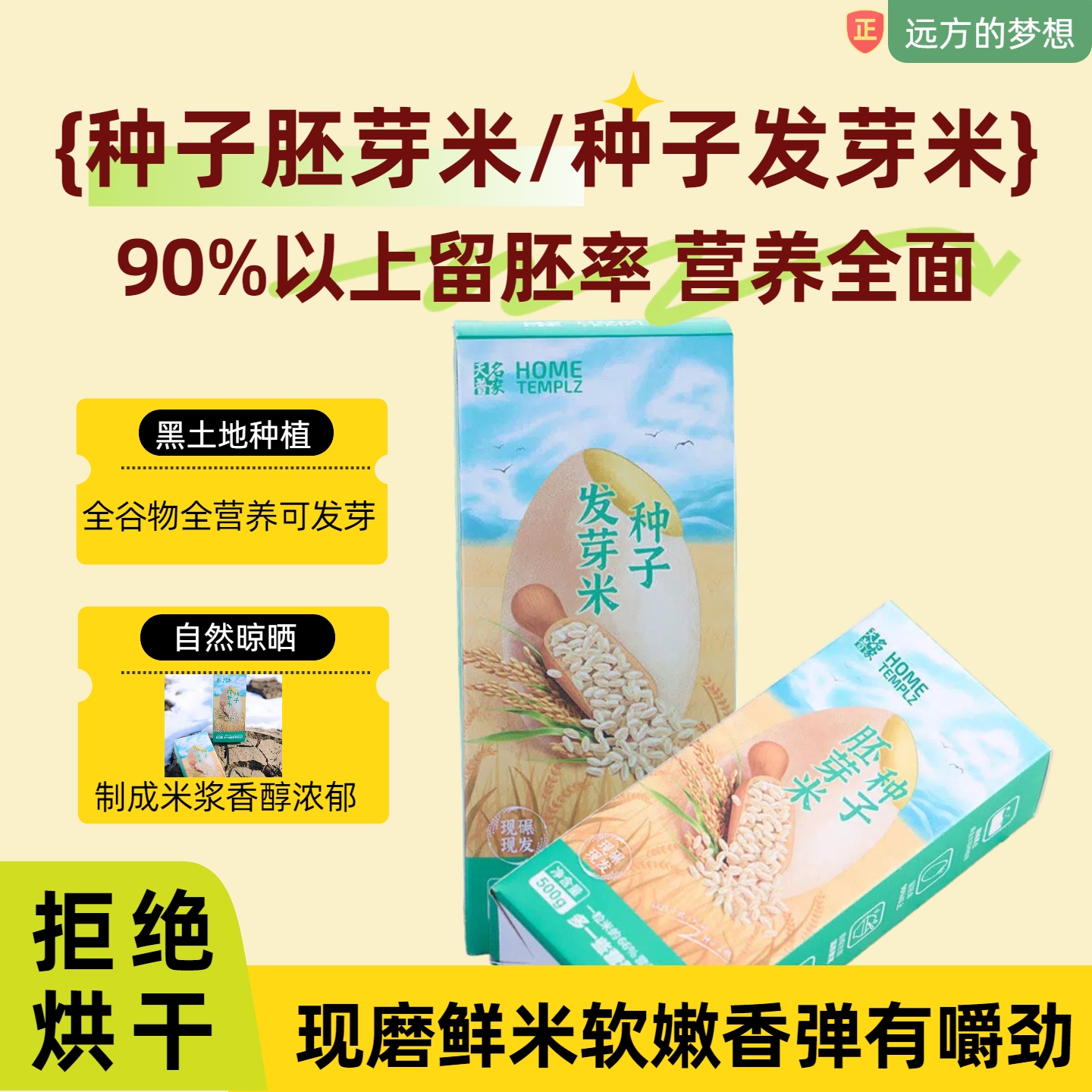 种子胚芽米种子发芽米营养全面