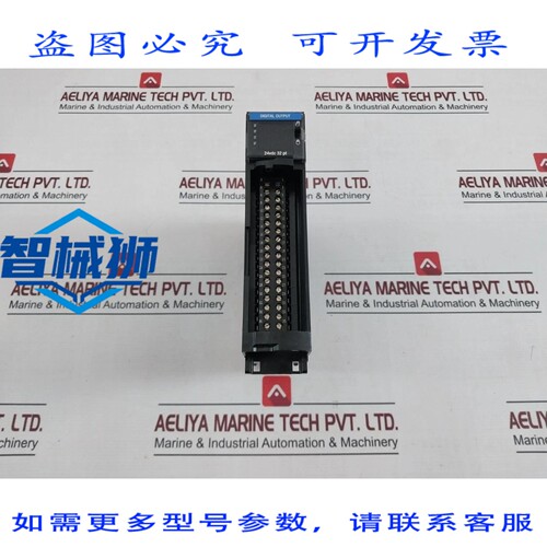 原装供应 TC-ODD321 数字输出模块 97067171 A01 10-31.2VDC 15.6