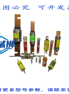 原装供应 BUSSMANN LPJ-100SP NSNP