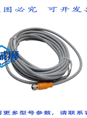 原装供应 图尔克 RKSV4.5T-6/S1126 U-39132 NSNP