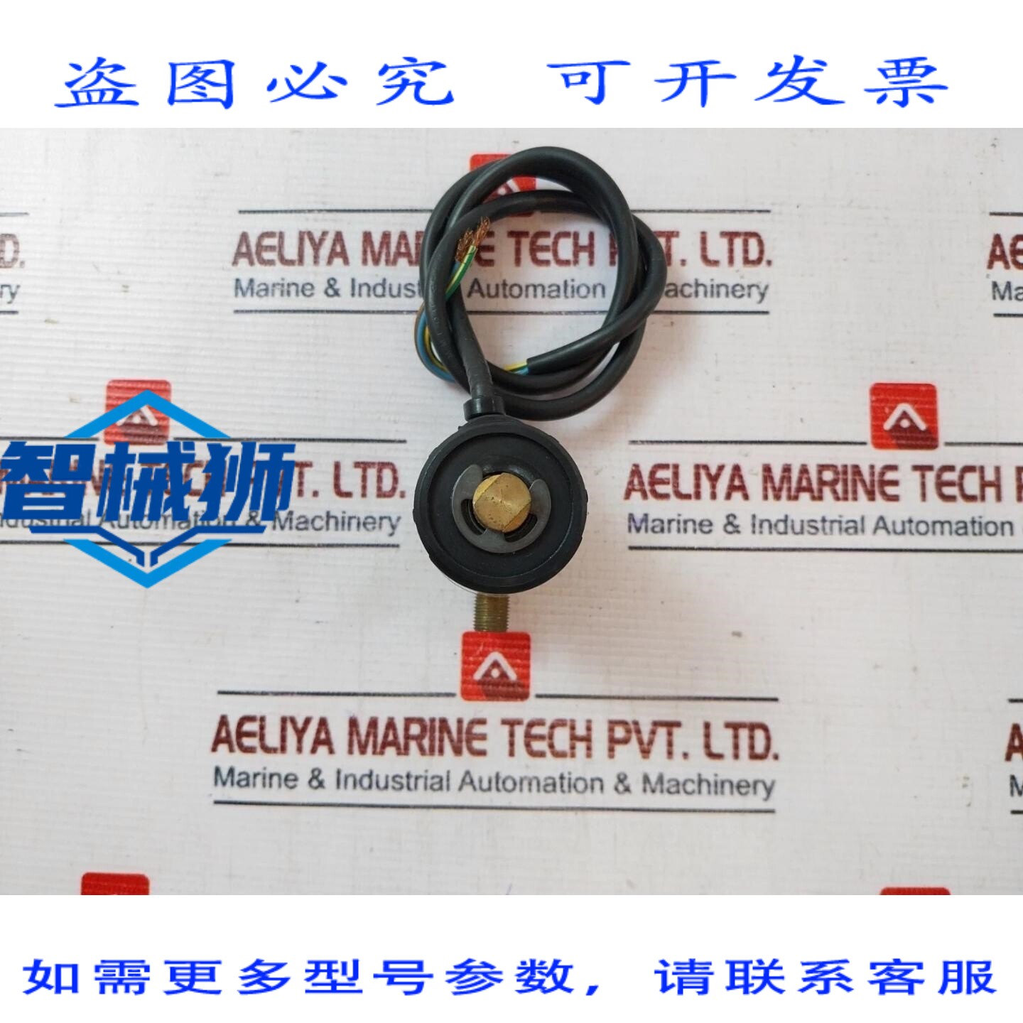 原装供应 BRAHMA E7/TS A3C 电磁阀 220V 60Hz 13VA IP65 20巴