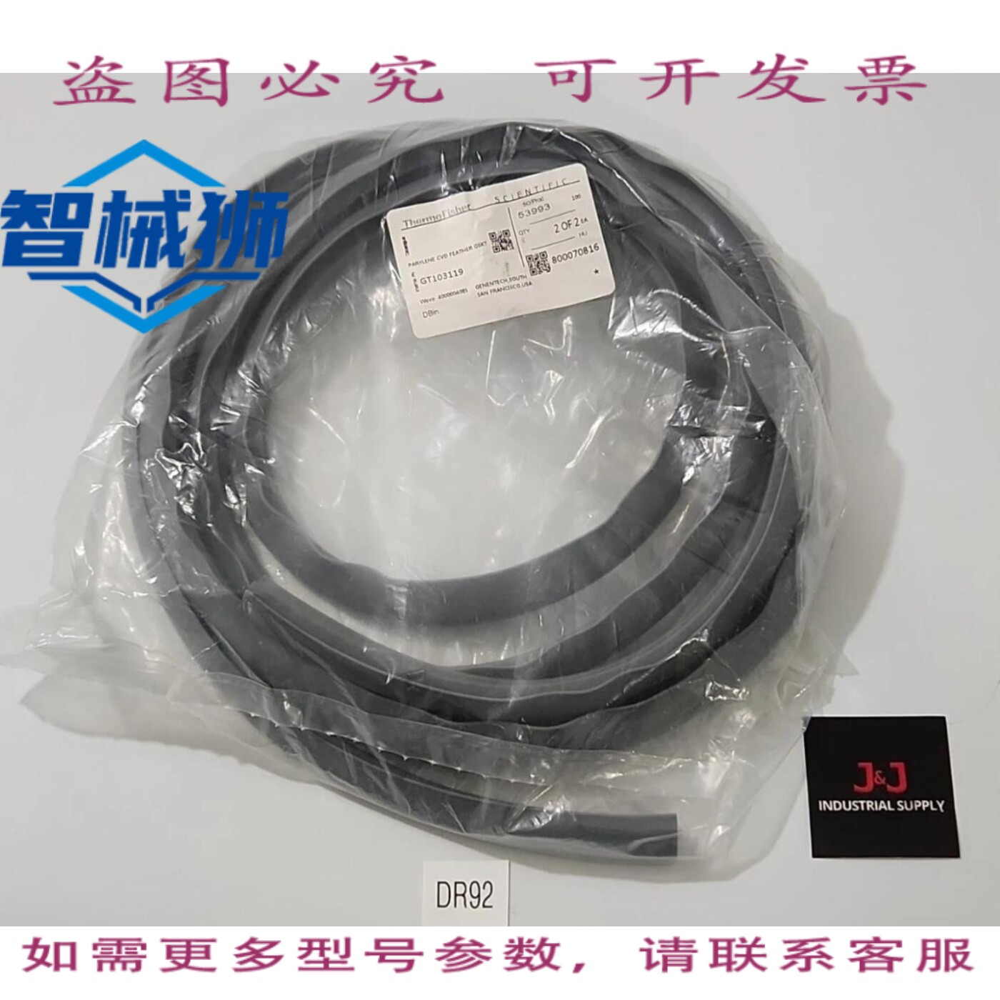 原装供应 Thermo Fisher Scientific 103119 聚对二甲苯 CVD 羽毛