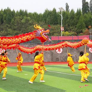 4号龙头舞龙道具牛津烫金龙中学生龙舞龙金龙色灯舞龙服装舞龙