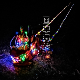 夜光健身龙LED舞龙道具空竹龙飞龙甩龙飘带龙彩带龙广场单人舞龙