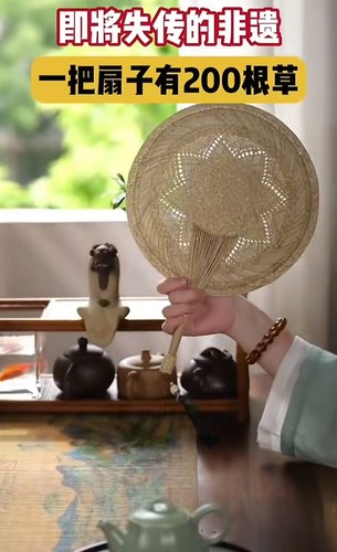 蒲扇中国风手工扇汉服古风装饰扇纳凉宝宝驱蚊岭根草编扇子流苏