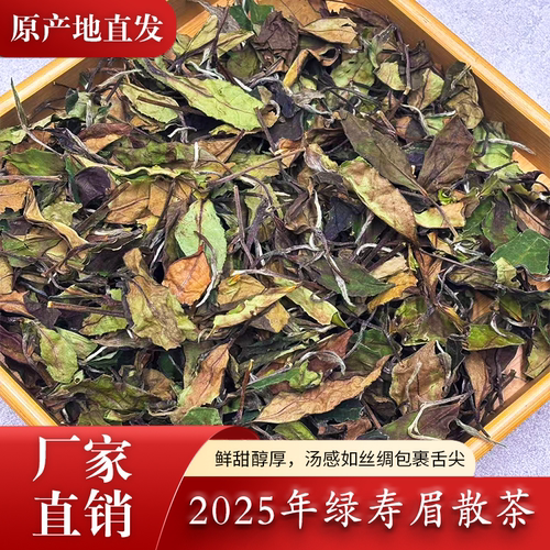 2025福鼎白茶绿寿眉一斤装