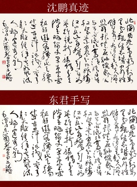 沈鹏书法斗方东君手写高仿书法