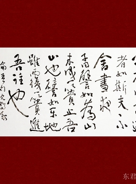 精品书房字画沈鹏书法手绘仿品