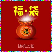 盲盒 鸿成纹身贴福袋 15张随机纹身贴套装 纹画人tattoo