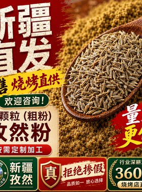 正宗特产新疆孜然粒烧烤料孜然碎纯孜然粒商用孜然半颗粒孜然粉