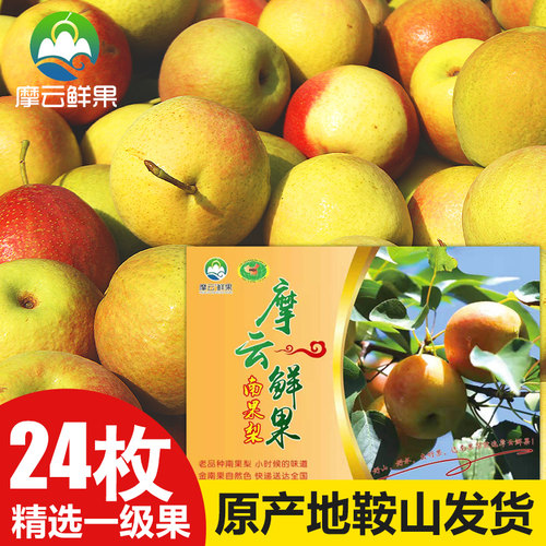 南果梨摩云正宗包邮香水梨南果梨