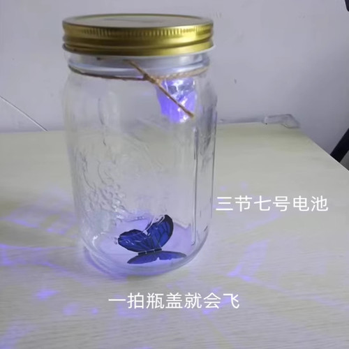 创意蝴蝶罐 Butterfly jar 超蝶 会飞的蝴蝶 生日礼物 许愿瓶带灯