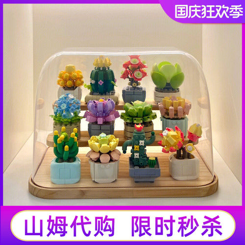 山姆费米治愈多肉积木花节日礼物