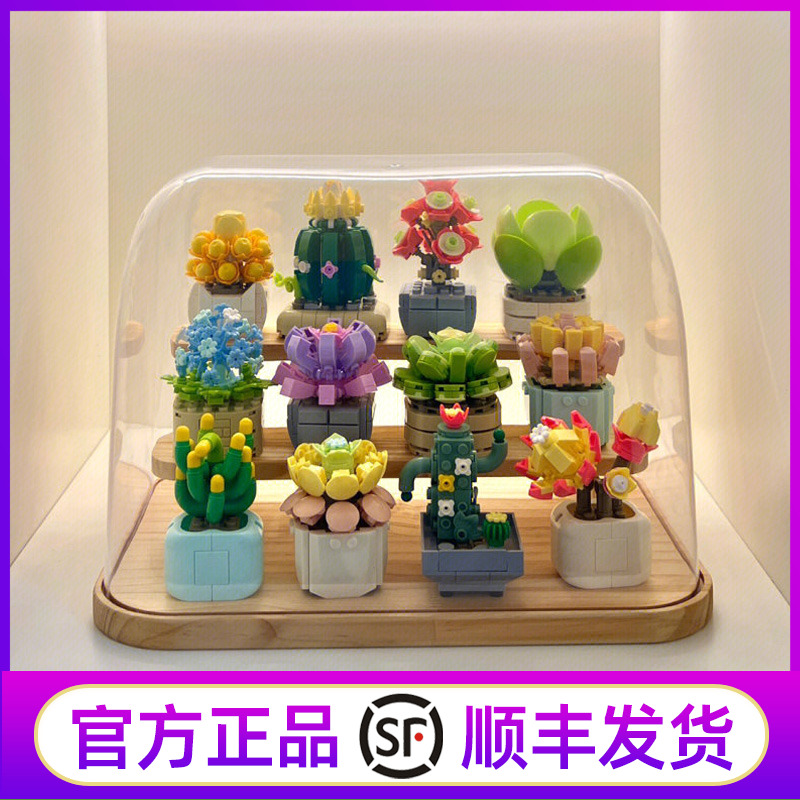 山姆代购费米治愈多肉积木花益智拼装玩具创意摆件女孩生日礼物