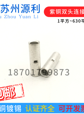 苏州源利双头连接管L2.5 L1  L4  L6 L1.5 L16 L25平方裸铜管BNT