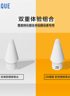 双重体验组合｜钢化膜及裸屏设备专用 含标准款笔尖及2B软性笔尖