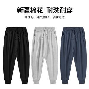 性价比毛圈布休闲裤5XL