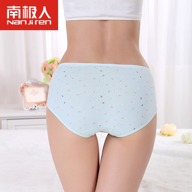 Slip jeunesse NF14X25047 en coton - Ref 666079 Image 3