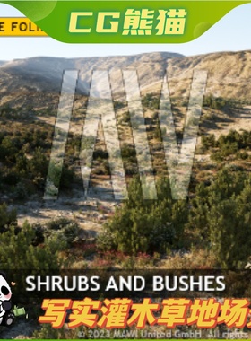 UE5虚幻5 MW Shrubs and Bushes 写实灌木草地植物石头场景