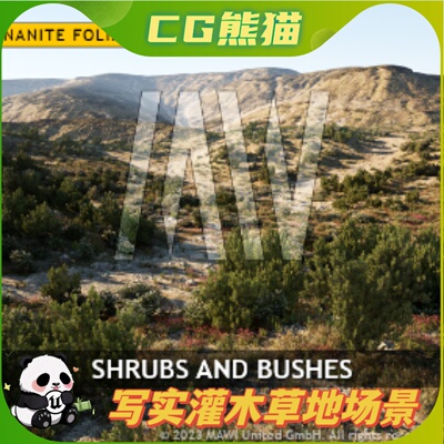 UE5虚幻5 MW Shrubs and Bushes 写实灌木草地植物石头场景