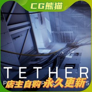 UE4虚幻5.4最新版 Tether Procedural Cable Rope程序电线插件