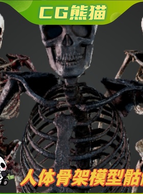 UE5虚幻5 Skeleton Humanoid 人体骨架角色模型骷髅带骨骼