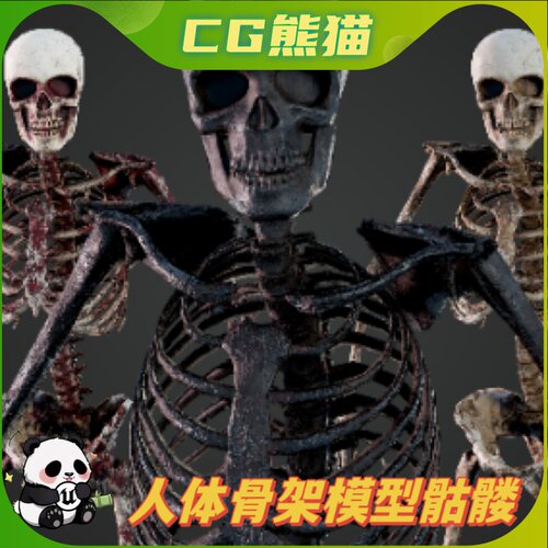 UE5虚幻5 Skeleton Humanoid 人体骨架角色模型骷髅带骨骼