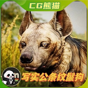 male UE4虚幻5 Hyena Striped 鬣狗角色带动画 Animalia