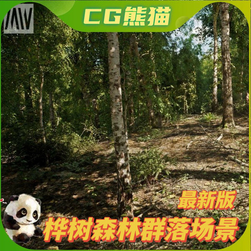 UE5虚幻5.2-5.8 MW Birch Forest Trees Biome 白桦树森林场景