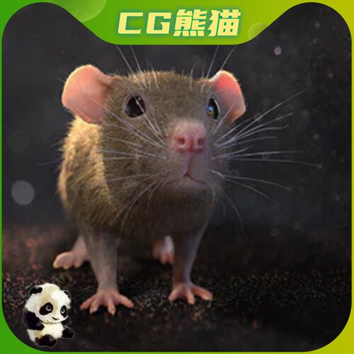 UE5虚幻5 Mouse 写实老鼠耗子游戏角色带动画