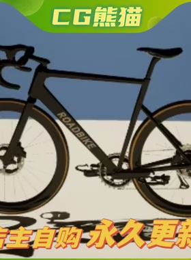 UE5虚幻5 Roadbike with animations 骑自行车山地车动画