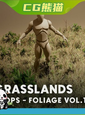 UE5虚幻5 Foliage VOL.18 - Grasslands 高品质草地干草模型