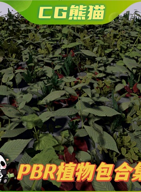 UE4虚幻5 PBR Plant Pack Volume 3 植被植物PBR模型道具
