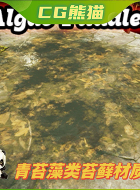 UE5虚幻5 Algae Puddles 青苔藻类水坑潮湿路面苔藓材质