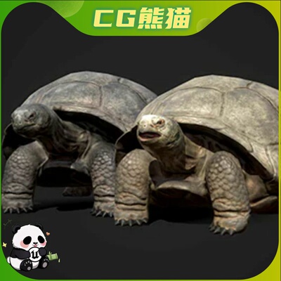 UE5虚幻5 Galapagos Tortoise 加拉巴哥岛龟类象陆龟模型动画