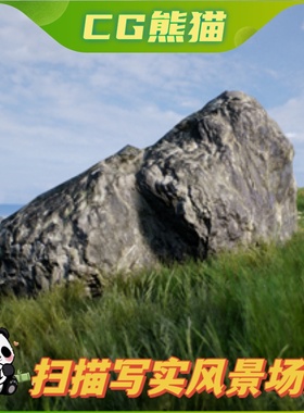 UE4虚幻5 Natural Photoscan 自然扫描写实风景场景