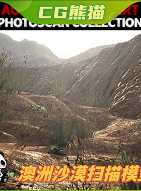 UE4虚幻5 Australian Desert Photoscan Collection 澳洲沙漠扫描