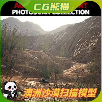 UE4虚幻5 Australian Desert Photoscan Collection 澳洲沙漠扫描