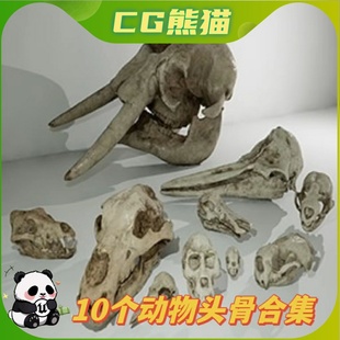Pack Skull 10个动物头骨道具模型 Animal UE5虚幻5