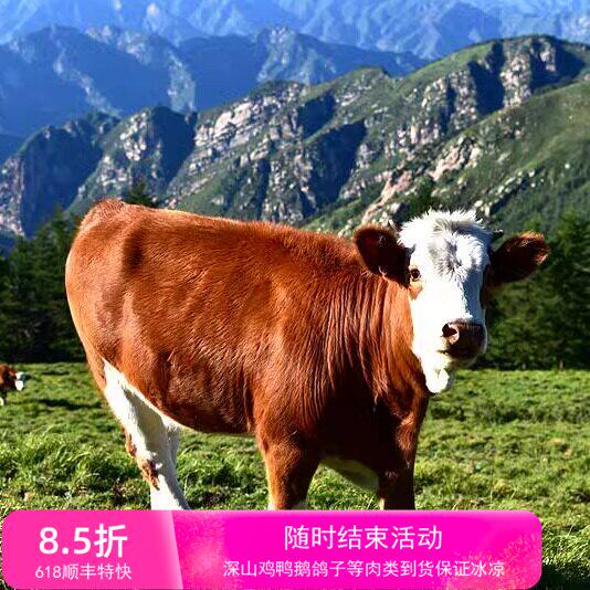 牛肉新鲜深山高海拔喝山泉纯吃草现杀黄牛肉生鲜牛排骨冷冻生牛肉