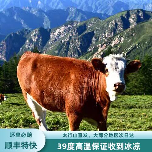 深山高海拔黄牛肉牛排顺丰生牛肉