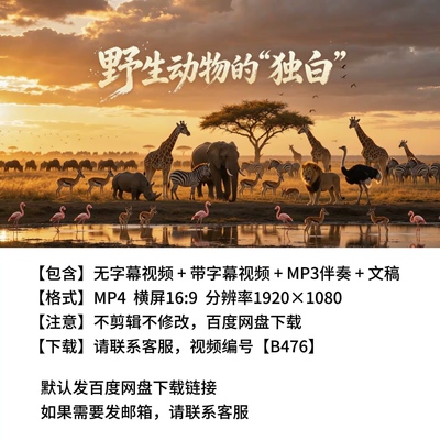 舞台剧《野生动物的独白》表演背景视频高清无水印伴奏视频