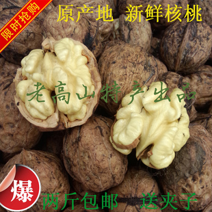 2025大凉山野生新鲜核桃去青皮核桃湿核桃活黑桃薄皮干核桃现货